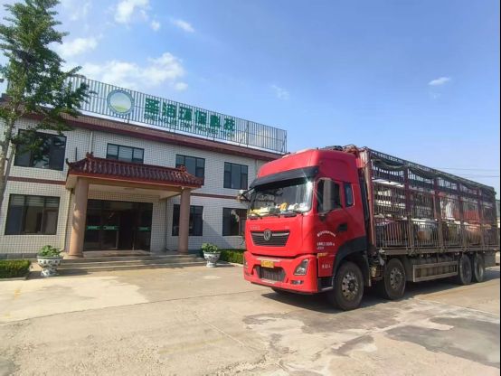撈渣機設備現(xiàn)場發(fā)貨